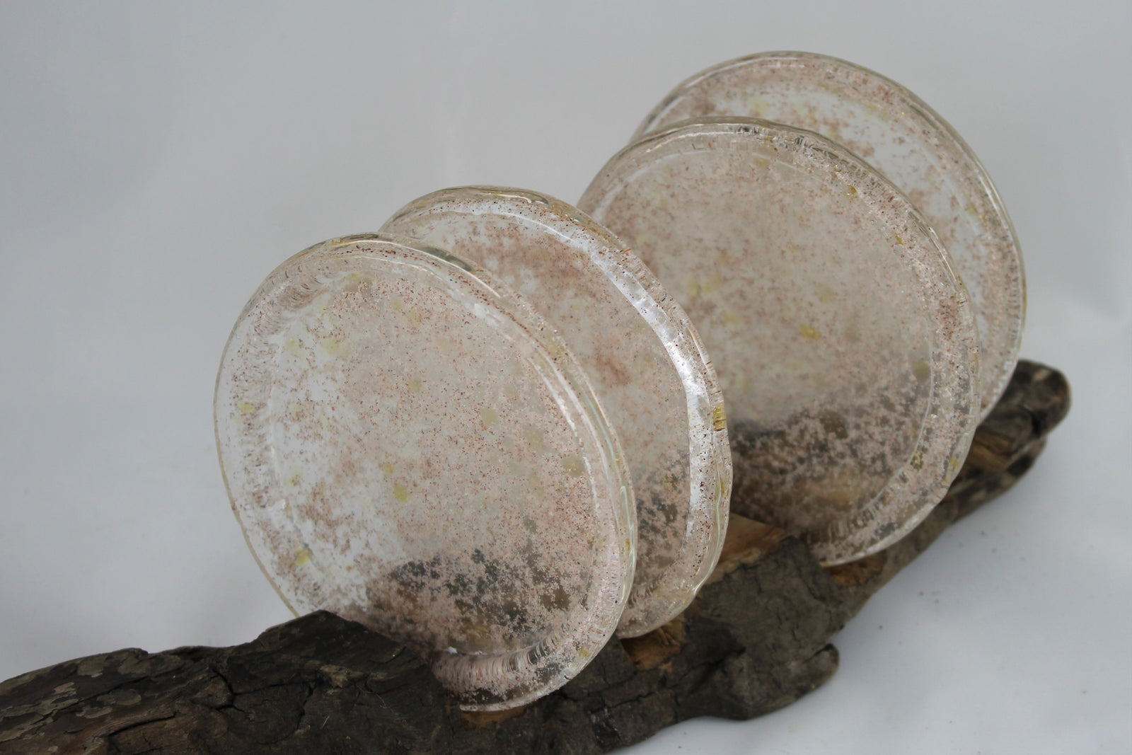 Tucho Wares - Coaster (individually)